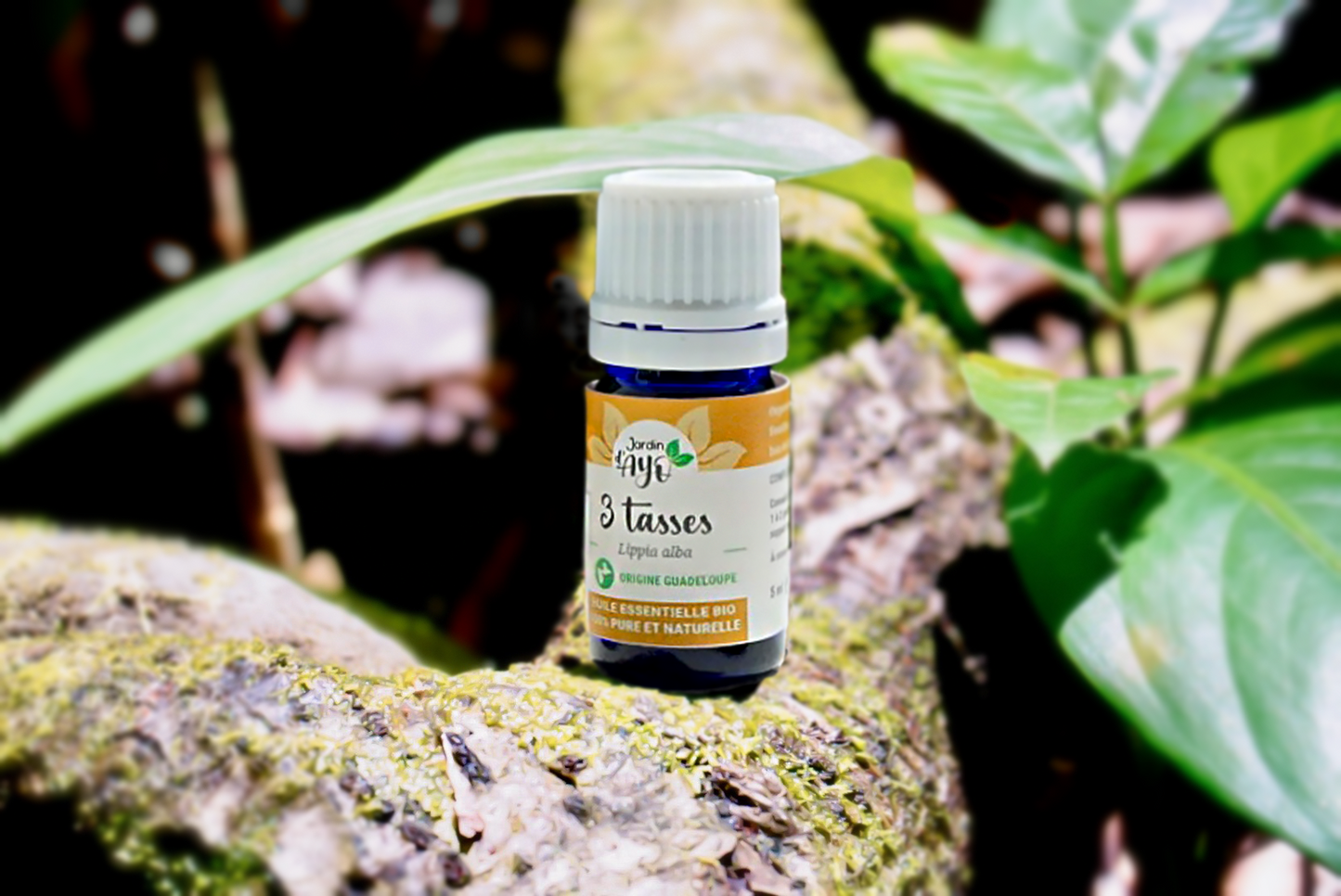 Huile Essentielle 3-Tasses (5 ml)