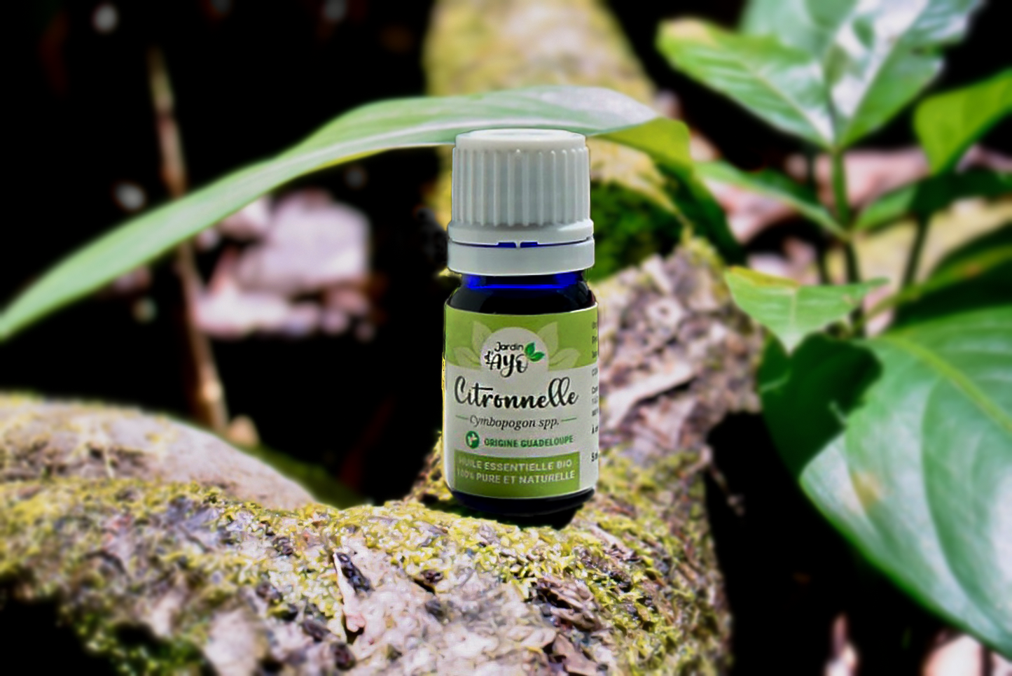 Huile Essentielle Citronnelle (5 ml)