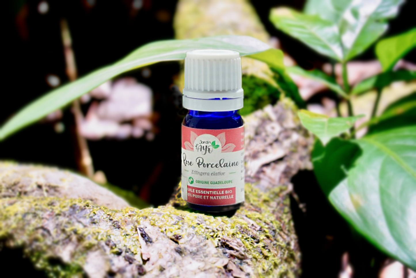 Huile Essentielle Rose Porcelaine (5 ml)