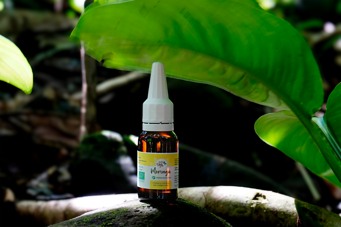 Huile Moringa (15 ml)