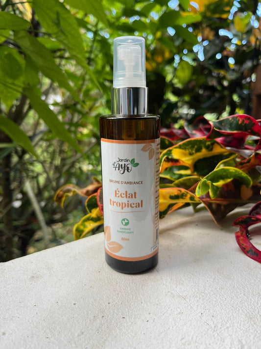 Brume d'ambiance Eclat tropical (80 mL)
